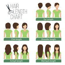 Welcome in order to my own website, in this moment i'll provide you with concerning keyword. 5 Women S Hair Lengths Explained Charts Diagrams