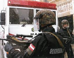 Es ist teil der direktion für spezialeinheiten, die der generaldirektion für die öffentliche sicherheit beim bundesministerium für inneres direkt unterstellt ist. Einsatzkommando Cobra