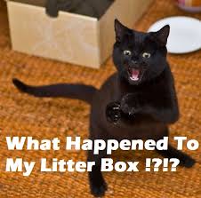 Sometimes, our dogs are so persistent in breaking into the litter box that some owners may throw up their hands. Best Dog Proof Cat Litter Boxes In 2018 Keep Your Puppy Out