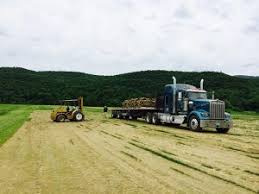 Like most of online stores, central sod farms discount code also offers customers coupon codes. Sod Foote Brook Farm