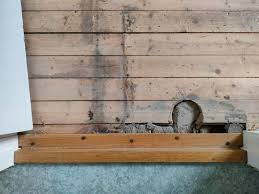 Image result for site:byggahus.se golvknarr