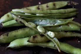 Image result for fava