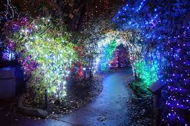 Pin By Noemi Vdgo Gtz On Words That Promote Positivity Lights Fairy Garden Night Garden