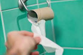 You don't need special toilet paper, but you do need paper that dissolves easliy and completely, to prevent possible blockage when you dump your black tank. Rv Toilet Paper Alternatives You Ll Wish You Used Sooner