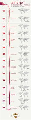 red wine types and more the basics of red wines