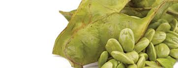 It is a good idea to take an antiemetic two hours prior to the. Why Does Eating Petai Make Your Urine Stink Ecofren Health Beauty Community