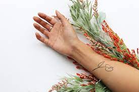 Talouse Tattoo Semi Permanent Tattoos By Inkbox Tattoos Tattoo Font Styles Tattoo Font