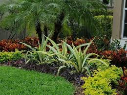 Colorful Tropical Florida Landscape Tropical Landscape Design Tropical Garden Design Florida Landscaping