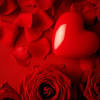 Besides, they will create a lovely romantic atmosphere in your house. 1