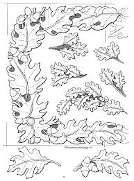 Free download leather doctor archives junglepoint valid letter doctor new. Leather Carving Leather Tooling Leather Pattern Inked Magazine Kydex Leather Projects Oak Leave Leather Tooling Patterns Tooling Patterns Leather Carving