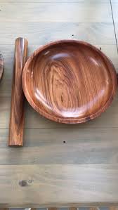 Image result for Newtonia