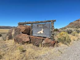 Image result for Little Catnip Spring - Sheldon Refuge Winnemucca NV