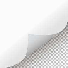 Page Curl With Shadow Texture Graphic Design Shadow Human Logo