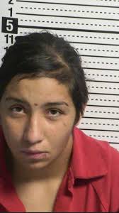 Selena Carrillo's Instagram, Twitter & Facebook