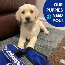 Mark Walden (@MarkRWalden)