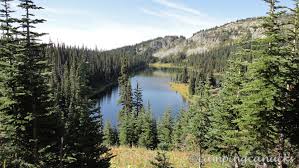 Check spelling or type a new query. Cabin Lake The Camping Canucks