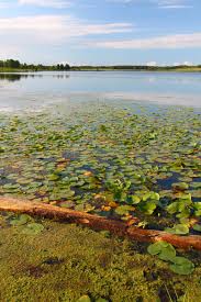 Maybe you would like to learn more about one of these? Best Camping In Illinois