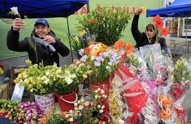 We did not find results for: Free Valentine S Day Virtual Flowers Top 4 Sites To Send Digital Bouquets To Your Love