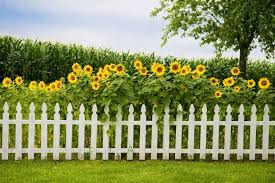 I revived our old garden fence by painting vivid flowers on it. 40 Best Garden Fence Ideas Design Pictures Designing Idea