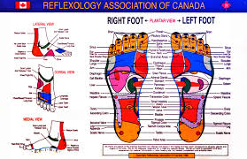 foot reflexology vancouver kitsilano royal feet