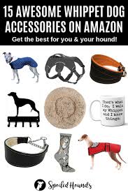 15 Awesome Whippet Dog Accessories On Amazon Spoiled Hounds Whippet Dog Dog Leash Hanger Dog Accessories