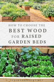 Raised garden beds benefits and drawbacks. Best Wood For Raised Garden Beds Empress Of Dirt