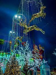 Fruit receives a constant flow of energy from the tree. Santa S Magical Kingdom Melbourne 2016 Review Busy City Kids