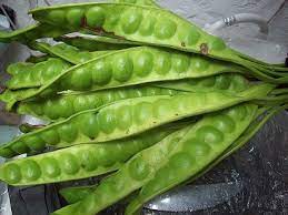 Buah pete atau dalam bahasa indonesia dinamakan petai, mungkin banyak sekali yang membenci buah yang satu ini karena baunya *belum ada penelitian pasti mengenai khasiat petai untuk medis. Tahukah Anda Akan Khasiat Buah Petai Walaupun Busuk Mari Berfakta Bersama Saya Zalzazilahfahraahmad