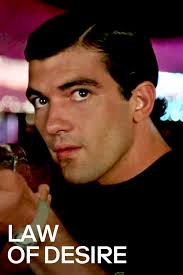 Law of Desire (1987) critic reviews