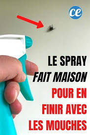 Epingle Sur Anti Mouches