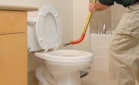 Toilet plungers — everyone needs one. How To Unclog A Toilet Drano