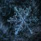 Park Pals: The Winter Water Cycle event image