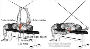 Pin On Exercices De Musculation