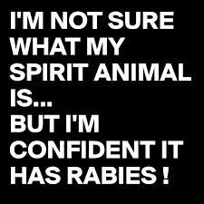 Check spelling or type a new query. I M Not Sure What My Spirit Animal Is But I M Confident It Has Rabies Post By Juneocallagh On Boldomatic