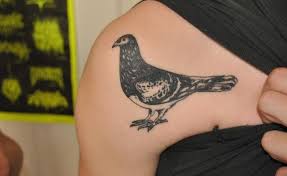 Check spelling or type a new query. Pigeon Dove Tattoo Meaning Symbolism Designs And Ideas