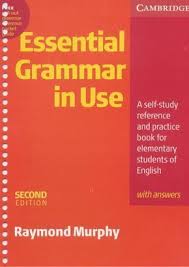 Cambridge Essential Grammar In Use English Grammar Book English Grammar Book Pdf English Grammar
