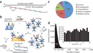 Autoantigen discovery with a synthetic human peptidome