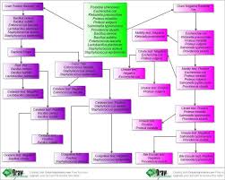 Runtime Error Microbiology Microbiology Lab Medical Laboratory Science