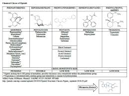 13 Skillful Allergy Cross Sensitivity Chart