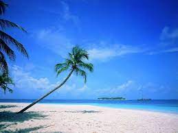 A Sea Of Luxury Beach Scene Wallpaper Beach Wallpaper Beautiful Beaches