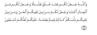 Lalu orang itu pergi dan memberinya lagi madu, kemudian ia pun sembuh. 16 An Nahl The Honey Bee Sayyid Abul Ala Maududi Tafhim Al Qur An The Meaning Of The Qur An