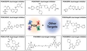Image result for PIK3CA Inhibitor