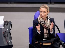 Natürlich, natürlich, adolf, ich war schon weg als name. Alice Weidel Afd Lahmungserscheinungen Politikerin Kann Wohnung Nicht Verlassen Politik