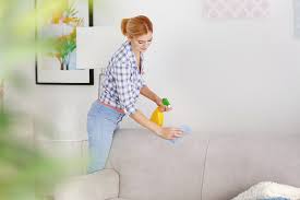 طريقة تنظيف الكنب من الغبار