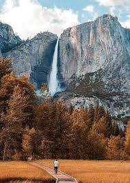 15% off with code julyzweekend. Amazon Com Yosemite Falls 1000 Piece Jigsaw Puzzle For Adults And Children Jigsaw Central Toys Games