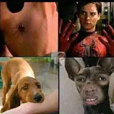 The Forgotten Super Hero Dog Man Meme By Kakun Memedroid