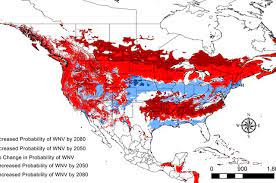 Overview a mosquito bite can turn into something much more severe if it infects you with the west nile virus (sometimes called wnv). Is West Nile Virus Coming To Your Town Ucla Releases First Risk Assessment Predictions Ucla