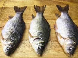 Cara goreng ikan mas biar garing. Cara Menggoreng Ikan Mas Salib Dengan Betul Dalam Kuali Ikan Mas Kecil Goreng
