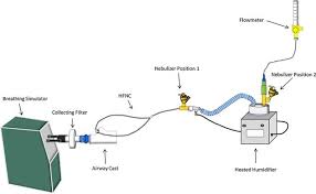 This is the default display for all searches. Experimintal Set Up With High Flow Nasal Cannula Hfnc Gas Flow Download Scientific Diagram