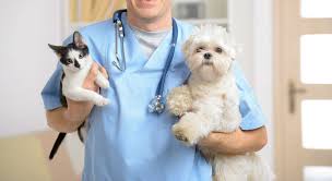 Our team of compassionate veterinary professionals is committed to serving every one of your pet's needs. Park Pet Hospital 142 Columbia Blvd W Lethbridge Ab T1k 4j4 Vetlocal Org